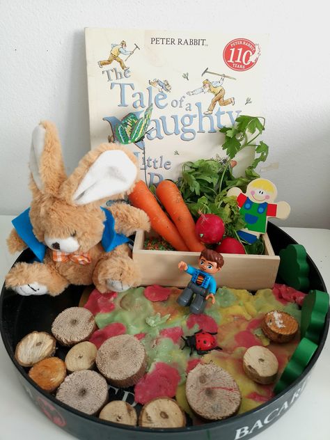 story basket #playlearngrow2 Storybook Baskets, Ece Environments, Activity Schedule, Story Baskets, Storytelling Ideas, Story Sacks, Book Play, Books Display, Treasure Basket