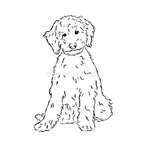 Labradoodle Tattoo, Poodle Vector, Labradoodle Drawing, Puppy Drawing Easy, Dog Line Art Tattoo, Mini Poodle Puppy, Poodle Drawing, Line Art Tattoo, Cute Dog Drawing