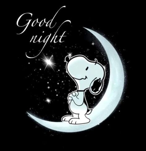 Get Cozy with These 10 Snoopy-Inspired Good Night Quotes! Good Night Snoopy, Snoopy Good Night, Snoopy Nails, Snoopy Tattoo, Night Love Quotes, Good Night Love Quotes, Snoopy Images, Cute Good Night, Snoopy Quotes