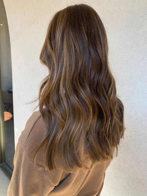 GET LONGER STRONGER HAIR WITH THIS DIY RECIPE | BRUNETTE HAIR Rambut Brunette, Honey Brown Hair, Brown Hair Looks, Brown Hair Inspo, Brunette Hair With Highlights, Brunette Balayage Hair, Brown Hair Balayage, Balayage Brunette, Hair Inspiration Color