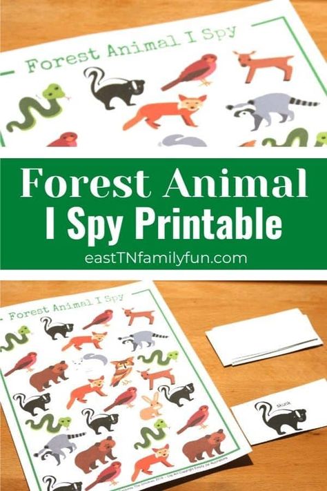 Forest Animal I Spy Counting Forest Animals Preschool, Forest Animals Theme, Counting Activities Preschool, Animal Activities For Kids, Preschool Counting, Woodland Animals Theme, Animal Names, Daycare Activities, Theme Activity