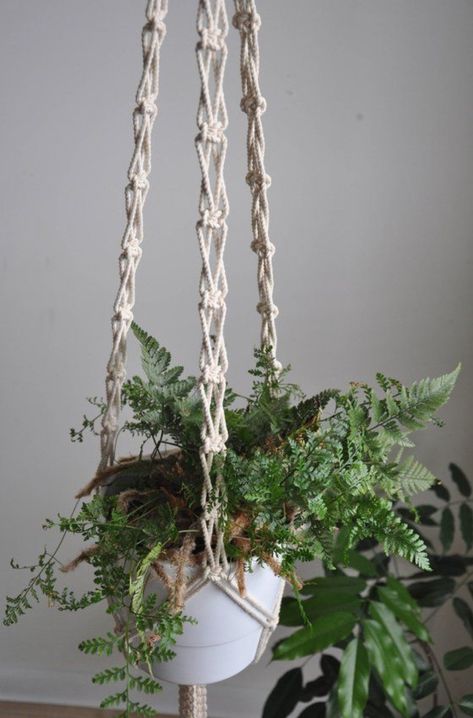 Diy Macrame Wall Hanging, Art Macramé, Macrame Plant Hanger Tutorial, Macrame Plant Hanger Patterns, Plant Hanging, Macrame Planter, Macrame Hanging Planter, Diy Macrame Plant Hanger, Diy Plant Hanger