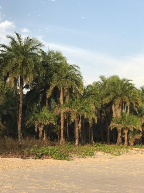 Guinea Country, Guinea Africa, Another Green World, African Landscape, Travel Africa, Western Sahara, Beautiful Disaster, Africa Map, Ivory Coast