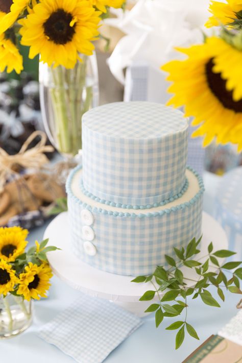 The Cakecountryliving Baby Q Shower Ideas, Babyque Shower, Barbecue Baby Shower, Gingham Party, Picnic Baby Showers, Diy Party Crafts, Baby Q Shower, Baby Shower Bbq, Just Eat