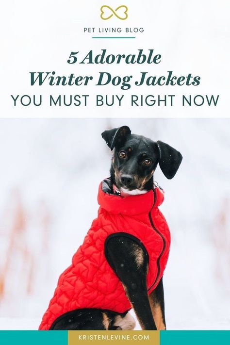 Whether you have harsh cold winters or mild winters, you'll love these adorable dog clothes! Check out these winter dog jackets that will keep your pup warm and adorable all winter long. Best Winter Jackets, Dog Jackets Winter, Cold Weather Dogs, Dog Jackets, Red Christmas Sweater, Yorkie Mix, Dog Winter Clothes, Cold Weather Gear, Dog Skin