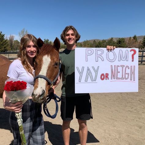 Horse Hoco Proposals, Morp Proposal, Country Promposal, Prom Posals Ideas, Sadies Proposals, Dance Asking Ideas, Dance Proposal Ideas, Dance Asking, Sadies Proposal