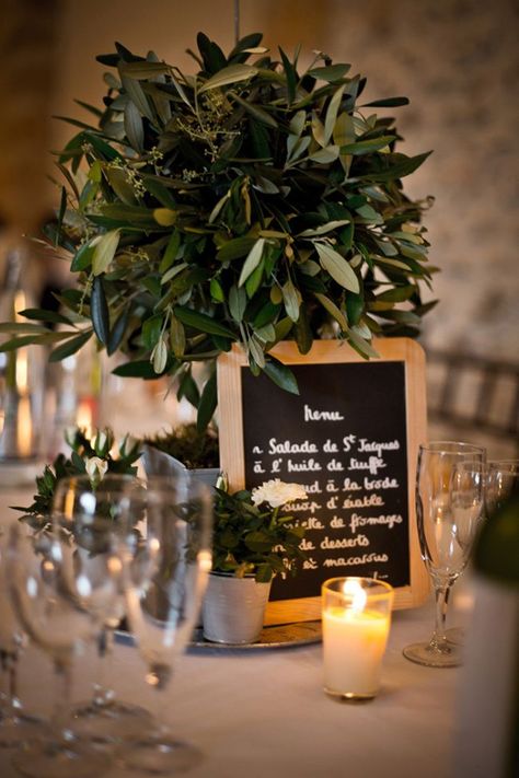 Olive Tree Table Centerpiece with Lunch Menu in Chalk Branch Centerpieces Wedding, Tree Wedding Centerpieces, Olive Branch Wedding, Wedding Table Menus, Provence Wedding, City Bride, Tree Centerpieces, Succulent Centerpieces, Greek Wedding