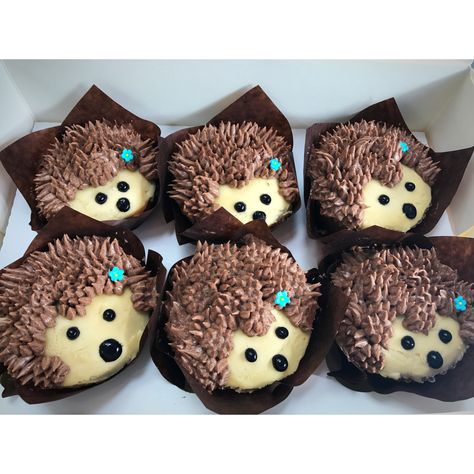 Hedgehog cupcakes Hedgehog Cupcakes, Hedgehog Cupcake, Hedge Hog, Face Cake, Food Diy, Cake Creations, Diy Food, Diy Food Recipes, Birthday Ideas