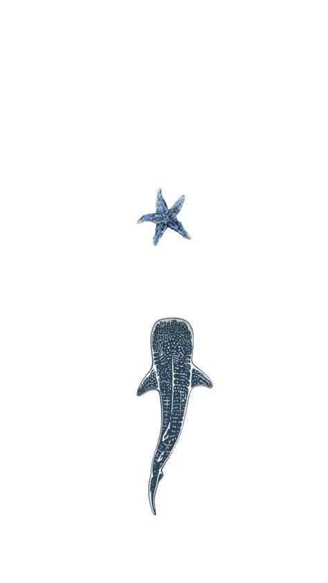 Cutest demure Shark Wallpaper Iphone, Shark Background, Whale Shark Tattoo, Tumblr Lockscreen, Good Wallpapers, Wallpaper Tumblr Lockscreen, Ocean Tattoos, Shark Tattoos, Cute Summer Wallpapers