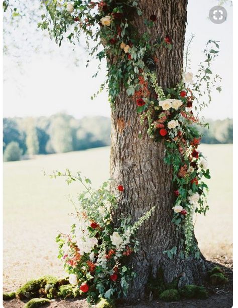 Floral garland wrapped on tree Tree Wedding Ceremony, Halloween Chic, Wedding Ceremony Ideas, Red Wedding Flowers, Boda Mexicana, Preowned Wedding Dresses, Ceremony Inspiration, Ceremony Flowers, A New Beginning