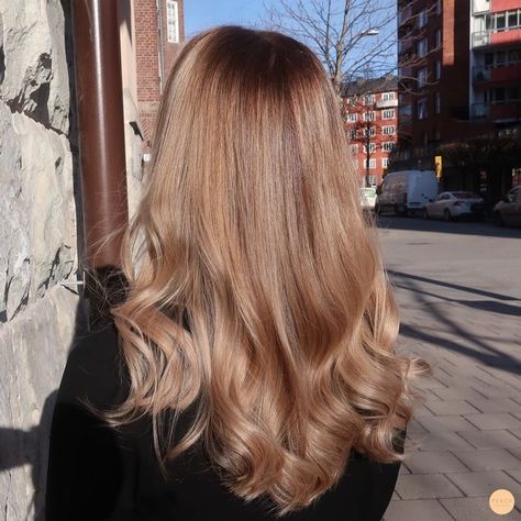 Blond Asian Hair, Harvest Blonde Hair, Honey Blonde Brown Hair, Honey Blonde Hair With Brown, Asian Blonde Balayage, Honey Colored Hair, チョコレートブラウン ヘアカラー, Blonde Asian Hair, Beige Blonde Balayage