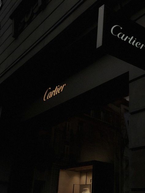 Rich aesthetic Dark Shopping Aesthetic, Moody Aesthetic Pictures, Cartier Shopping, Snap Aesthetic, Best Ways To Earn Money, Party Design Poster, Black And Gold Aesthetic, Ways To Earn Money Online, Rich Aesthetic