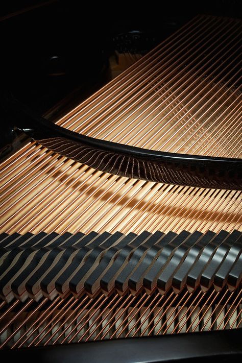 Inside Of A Piano, Musical Architecture, Piano Illustration, Piano Strings, Piano Photography, Baby Piano, Brass Music, Baby Grand Piano, Piano Design