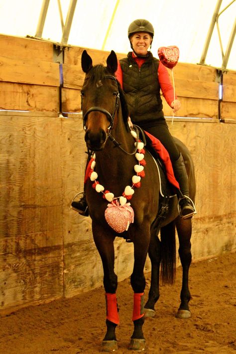 Valentine’s Day Equestrian Photo Shoot ottb Horse Fancy Dress, Equestrian Photoshoot, Horse Valentine, Horse Costume, Horse Reference, Valentine Photo Shoot, Horse Camp, Horse Costumes, Valentine Photo