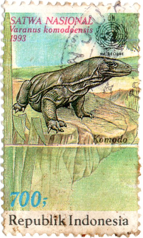 Perangko Indonesia tahun 1993 Seri Satwa Nasional nominal 700 Rupiah dengan gambar Komodo Environment Protection, Komodo Dragon, Komodo, Postal Stamps, Lizards, Mail Art, Postage Stamps, Reptiles, Indonesia