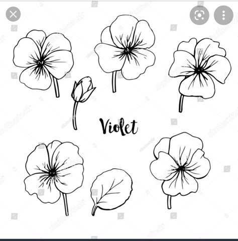 Violet Flower Tattoos, Flor Tattoo, Violet Tattoo, Dragon Tattoo Ideas, February Birth Flowers, Flower Line Drawings, Raven Tattoo, Violet Flowers, Dragon Tattoos