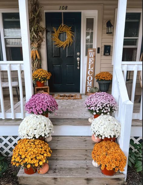 Did you know Amazon has the cutest mums you can add to your fall front porch decor??? Here is my fall entryway decor for this year! Every year I go all out. Click to shop what you see in my fall decor for 2023! Front Porch Decorating Spring, Porch Decorating Spring, Front Porch Seating, Fall Entryway Decor, Fall Entryway, Outdoor Entryway, Fall Front Porch Decor, Front Porch Decor, Fall Front Porch