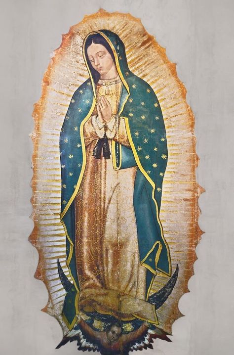 Virgen Of Guadalupe, Catholic Wallpaper, Virgin Mary Art, Mexican Culture Art, Prayer Corner, Virgin Of Guadalupe, Family Figurine, Catholic Images, Blessed Mother Mary