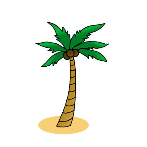 How to Draw a Coconut Tree Coconut Tree Drawing, Coconut Tree, Drawing Examples, Tree Trunks, Tree Drawing, Guided Drawing, Cartoon Drawings, Palm Trees, Drawing Tutorial