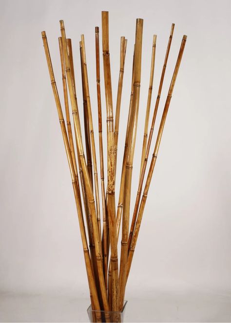 Bay Isle Home 15 Piece Natural River Cane Floor Branch Set & Reviews | Wayfair Honey Pack, Large Floor Vase, Floral Crafts, Bamboo Decor, Bamboo House, Floral Craft, Black Floor, Floor Vase, Nature Decor