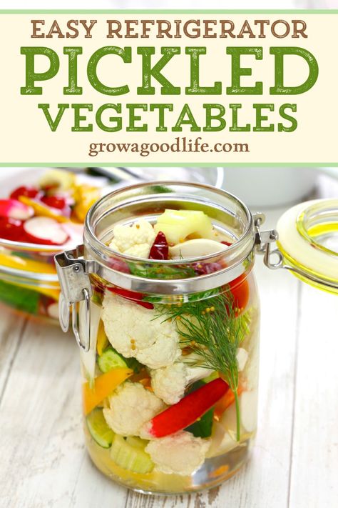 Refrigerator pickles are an ideal way to preserve a small harvest of mixed vegetables. Store the jars in the refrigerator for up to three months and you will have a ready to serve condiment for all your meals. Learn how to quick pickle any vegetable with this easy refrigerator pickled vegetables recipe. How To Pickle Vegetables, Pickled Veggies Recipe, Pickles Homemade Easy, Pickle Vegetables, Jar Mixes, Quick Pickled Vegetables, Refrigerator Pickle Recipes, Easy Pickling Recipes, Pickled Vegetables Recipe