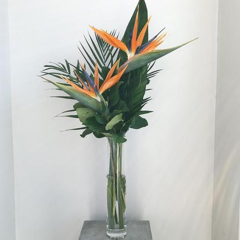 Strelitzia Flower Arrangements, Bird Of Paradise Arrangement Vase, Birds Of Paradise Flower Arrangement, Bird Of Paradise Arrangement, Bird Of Paradise Bouquet, Tall Vase Arrangements, Bird Of Paradise Wedding, Tropical Centerpieces, Tropical Wedding Bouquets