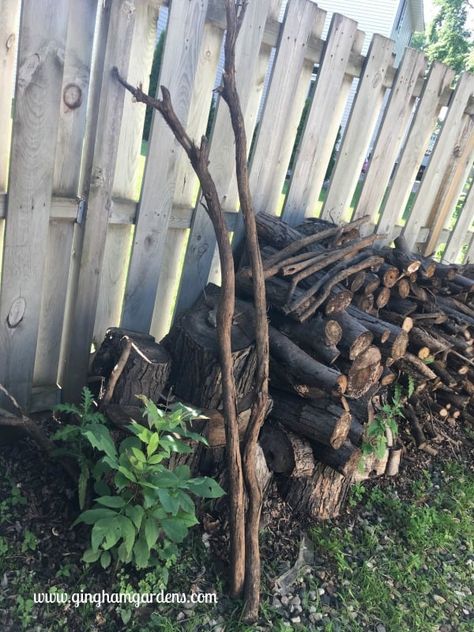 Easy DIY Garden Decor Using Tree Branches - Gingham Gardens Tree Branch Decor Diy, Fairy Herb Garden, Ladder Trellis, Garden Ladder, Tree Branch Decor, Rustic Ladder, Vegetable Garden Tips, Wood Planter Box, Side Garden