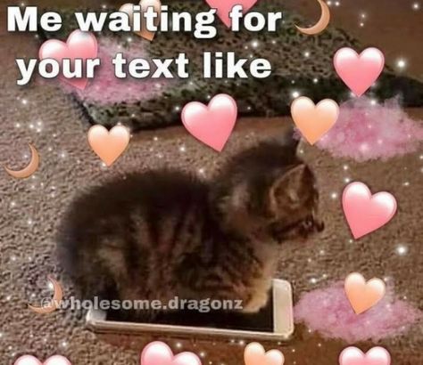 Cute Messages For Him, Happy Memes, Couple Memes, Just Good Friends, I Wait For You, Cute Love Memes, Memes Cute, Silly Cats Pictures