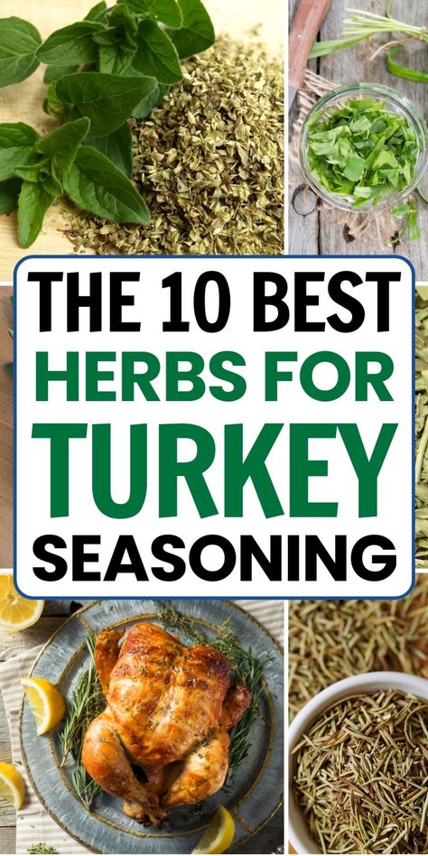 The 10 best herbs for turkey seasoning displayed with images of fresh herbs and a cooked turkey. Fresh Herbs For Turkey, Best Turkey Seasoning Recipe, Herbs For Turkey, Turkey Seasoning Recipes, Turkey Seasoning Rub, Seasoning For Turkey, Best Turkey Seasoning, Turkey Seasonings, Poultry Seasoning Recipe