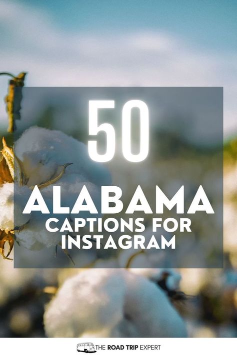 Alabama Captions for Instagram Captions For Instagram Photos, Paula Poundstone, Alabama Football Game, Perfect Captions, Quotes For Instagram, Good Instagram Captions, Travel Around Europe, Cool Captions, Captions For Instagram