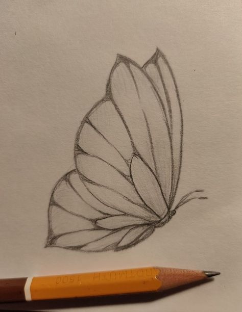 Butterful Drawing, Fun Drawing Ideas Doodles, Nature Drawings Simple Sketch, Lukisan Haiwan, Summer Sketches, Butterfly Sketch, Cool Pencil Drawings, Meaningful Drawings, Art Tools Drawing