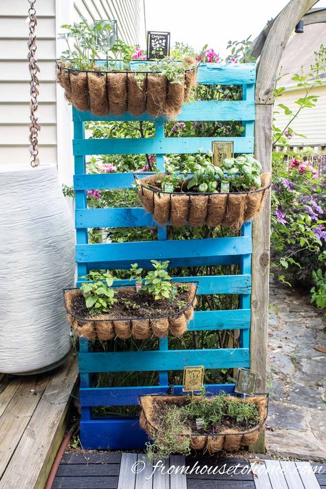 I love this DIY vertical herb garden! Combining a pallet with window boxes is an easy way to create a garden design that fits in a small space. #fromhousetohome #herbgarden  #gardenstructures #herbs #gardening Diy Vertical Herb Garden, Ideas For Small Patios, Window Box Herb Garden, Garden Pallet Decorations, Pallet Herb Garden, Shed Inspiration, Vertical Herb Gardens, Small Patios, Herb Garden Pallet