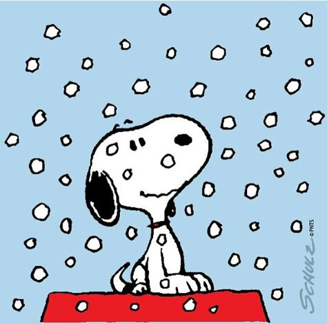 Snoopy snow Woodstock Snoopy, Peanuts Comic Strip, Snoopy Funny, Peanuts Cartoon, Peanuts Characters, Snoopy Quotes, Snoopy Pictures, Peanuts Christmas, Snoop Dog