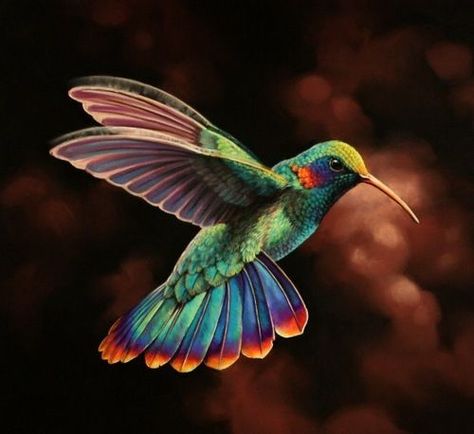 Gorgeous colors on this hummingbird Colorful Hummingbird, Hummingbird Painting, Hummingbird Tattoo, Exotic Birds, Pretty Birds, Colorful Birds, Birds Of Paradise, Hummingbirds, Bird Prints