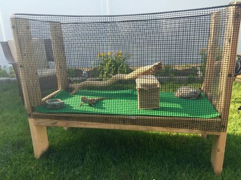 Bearded Dragon Terrarium Ideas, Bearded Dragon Diy, Bearded Dragon Enclosure, Bearded Dragon Terrarium, Bearded Dragon Cage, Bearded Dragon Habitat, Bearded Dragon Tank, Outdoor Enclosure, Bearded Dragon Diet