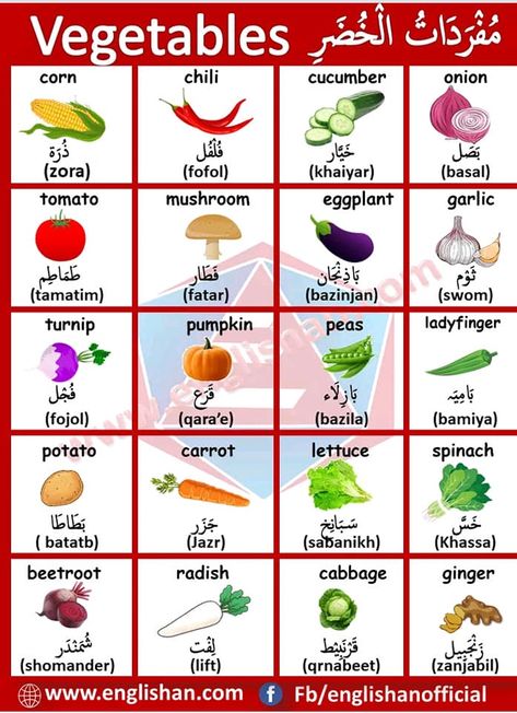 Learning Arabic MSA (Fabienne) English To Arabic Words, Arabic Vegetables, Basic English Vocabulary, Learning Arabic For Beginners, Arabic Verbs, English And Arabic, Spoken Arabic, English Language Course, Learn Arabic Online