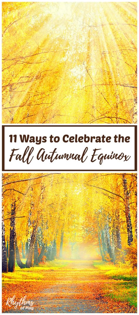 The fall autumnal equinox marks the official beginning of fall in the northern hemisphere. In the southern hemisphere, the vernal equinox occurs on the same day as the autumnal equinox. It marks the official beginning of spring. Both the autumnal and vernal equinoxes happen at the same moment all over the world but are converted to local time. Some of these suggestions are individual ways to celebrate while others can be done with family and friends. Autumn Equinox Preschool, Autumn Equinox Waldorf, Equinox Autumn, Pagan Autumn, Mabon Ideas, Fall Equinox Meditation, Autumn Equinox Crystals, Autumn Equinox Ritual, Autumnal Equinox Celebration