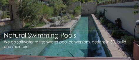 Natural Swimming Pools – PASES Aquatic, Perth, WA, Australia Pools Design, Wa Australia, Natural Swimming Pools, Water Swimming, Natural Swimming Pool, Pool Builders, Construction Management, Swimming Pool Designs, Pool Designs