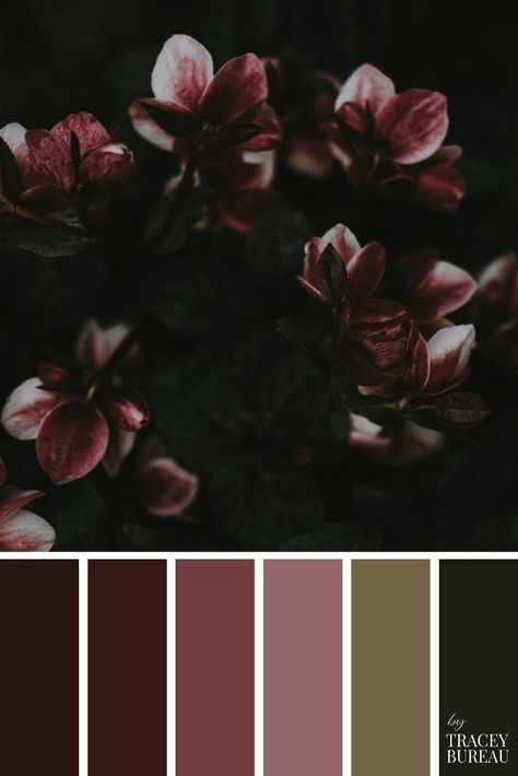 Dark And Moody Color Palette, Goth Color Palette, Witchy Color Palette, Color Ideas Wedding, Gothic Color Palette, Plum Color Palette, Dark Academia Color Palette, Dark Academia Color, Palettes Color