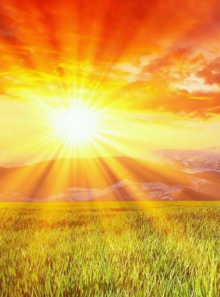 sunshine Sunshine Pictures, Good Day Sunshine, Scenery Nature, Sun Light, Natural Scenery, Green Wallpaper, Beautiful Scenery, Nature Scenes, Phone Backgrounds