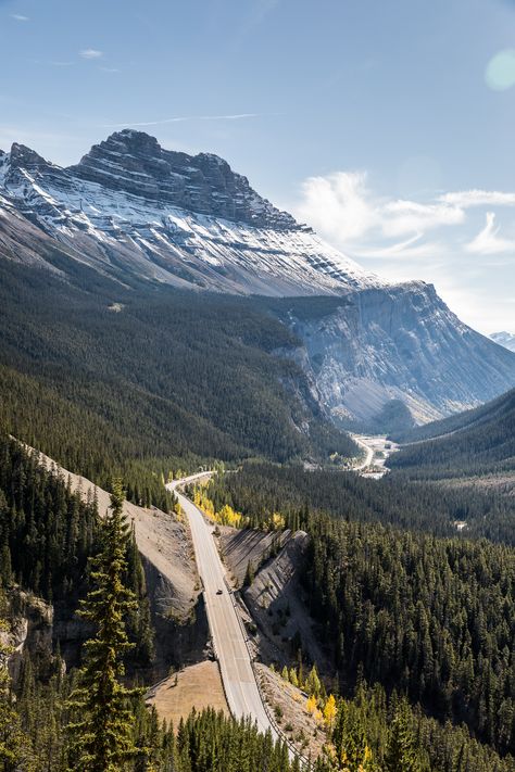 Icefield Parkway, Rocky Mountaineer, Icefields Parkway, Banff Canada, Canadian Travel, Luxury Train, Parks Canada, Train Journey, Canadian Rockies