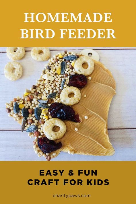 Homemade Bird Feeder, Bird Feeders For Kids To Make, Winter Bird Feeders, Bird Feeder Craft, Animal Activities For Kids, Homemade Bird Feeders, Daisy Scouts, Winter Bird, Animal Activities