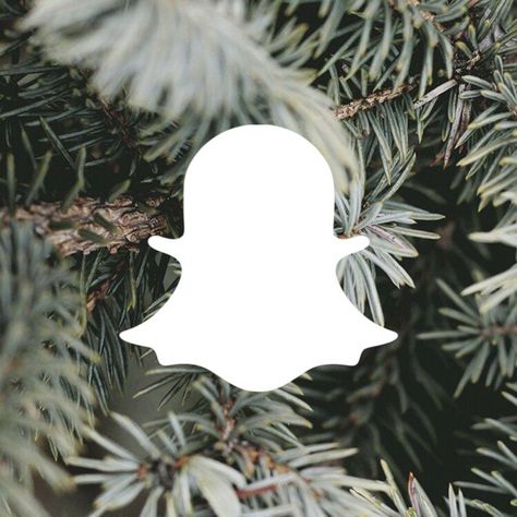 Christmas Snapchat Icon, Aesthetic Snapchat Icon, Winter App Icons Aesthetic, Holiday Snapchat, Christmas Snapchat, Winter App Icons, Snapchat App Icon, Christmas Tree Aesthetic, Aesthetic Snapchat