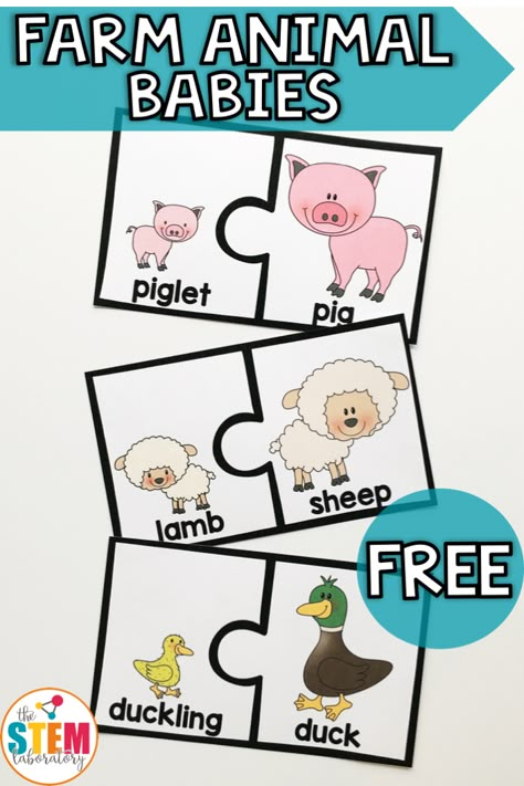 Baby animals are one of my VERY favorite things to teach about in the spring. It ties in perfectly with my life science unit and adds some cuteness and “aw!” factor to my lessons. These puzzles are a fun way to give your students some hands-on practice at matching baby animal names to the adults. (Who knew a baby turkey was called a poult?!?) They’re Farm Activities Preschool, Farm Week, Farm Animals Preschool, Farm Lessons, Baby Animal Names, Farm Animals Activities, Preschool Farm, Farm Theme Preschool, Animals Preschool