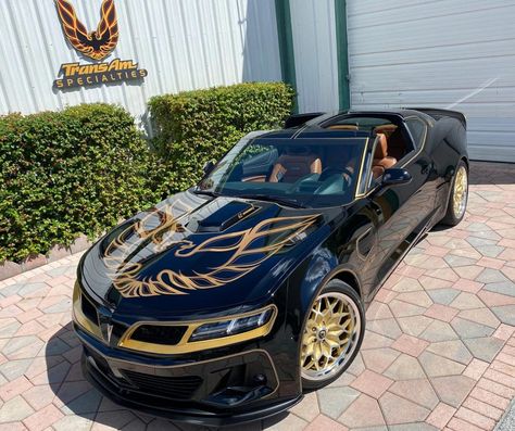 Bandit Trans Am, Pontiac Trans Am, Trans Am, Hit The Road, The Road, Garage, Road, Media, Sports