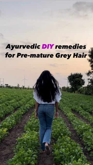 Dr Dixa Bhavsar Savaliya on Instagram: "I’ve been able to help many of my patients reverse their pre-mature grey hair with the help of ayurveda. I’ve been receiving many Dms for remedies to reverse/stop/delay pre-mature grey hair lately, I thought of sharing this reel so most of you can be benefitted. 3 Guaranteed Ayurvedic rituals that can help you reverse pre-mature grey hair are: 1. Nasya Putting 2 drops of cow ghee in both nostrils at bedtime. 2. Consuming this DIY herbal mixture Amla Reversing Grey Hair Naturally, Reverse Grey Hair Naturally, Premature Grey Hair Remedies, Grey Hair Natural Remedy, Amla Juice Benefits, Ayurvedic Rituals, Grey Hair Reversal, Reverse Grey Hair, Stop Grey Hair