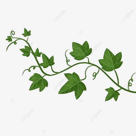 Ivy Clip Art, Celtic Ivy Tattoo, Ivy Leaf Nail Art, Ivy Leaf Embroidery, How To Paint Ivy Vines Easy, Ivy Drawing Simple, Ivy Drawing Vines, Ivy Leaves Drawing, Ivy Leaf Drawing