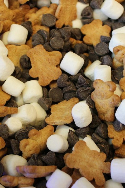 Smores Ideas, Smores Snacks, Teddy Bear Baby Shower Theme, Bear Baby Shower Theme, Camping Snacks, Teddy Grahams, Teddy Bear Party, Teddy Bear Birthday, Baby Shower Theme Decorations