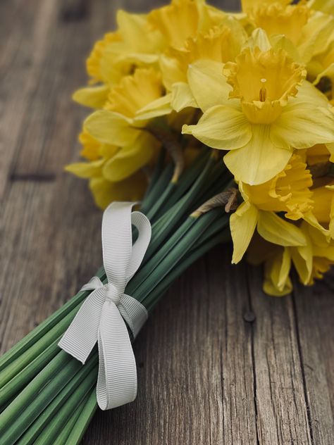 Daffodil Bouquet Wedding, Sunshine Wedding, Daffodil Bouquet, Modern Ideas, Bride Bouquets, Wedding Bouquet, Daffodils, Wedding Modern, Spring Flowers