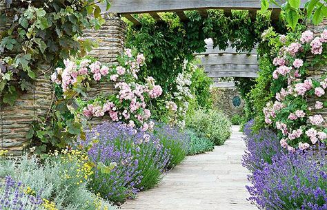 Hestercombe House - love the planting. Hestercombe Gardens, Taunton Somerset, Cottage Garden Design, Lavender Garden, Formal Garden, English Cottage Garden, Formal Gardens, Country Gardening, English Garden